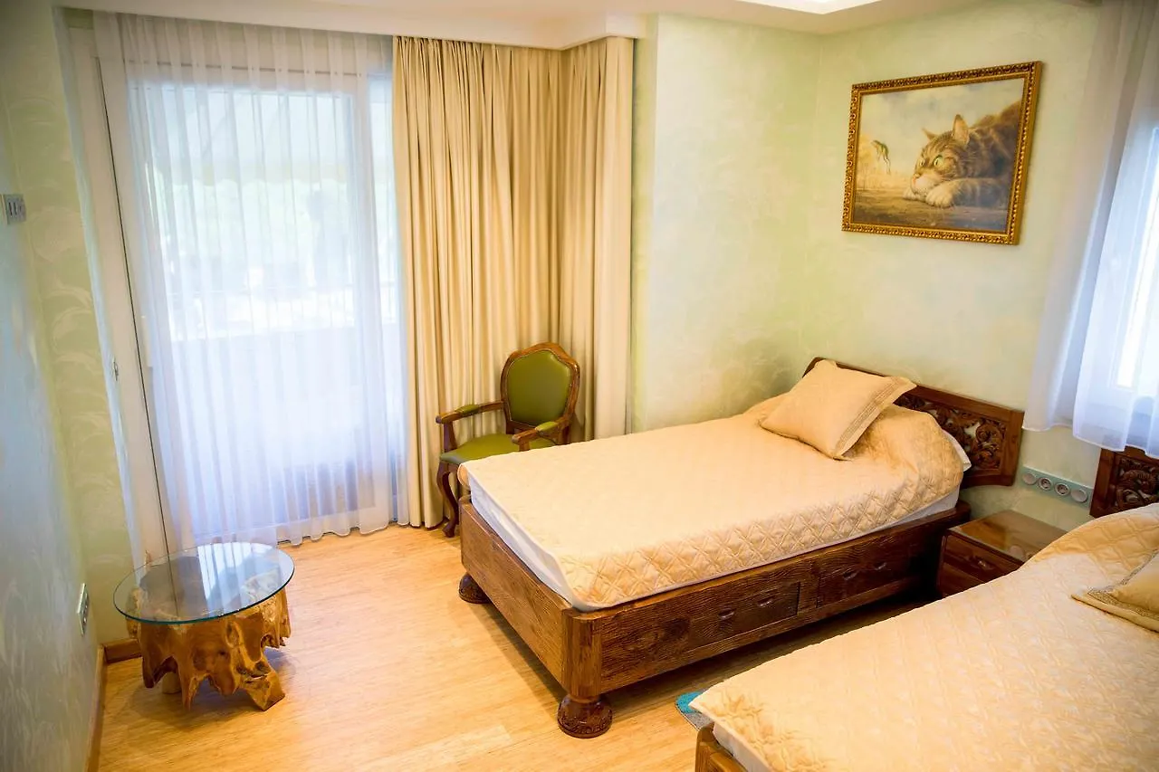 Eco Geo Sol Villa Lloret de Mar 0*,